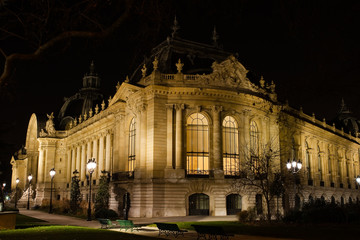 Fototapeta na wymiar Petit Palais Paris