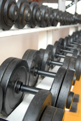 Obraz premium fila di pesi in palestra