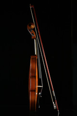 violino