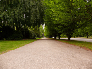 der Weg zum Grün