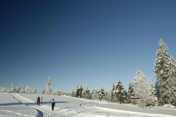Fototapeta na wymiar Biegi narciarskie