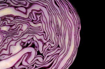 Obraz premium Fresh cabbage
