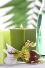 Wellness Kerzen Orchidee Aromatherapie Grün