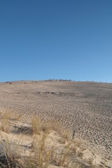 Obraz premium dune de pilat