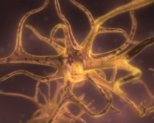 yellow neuron cell