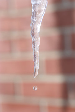 Melting Icicle With Drops