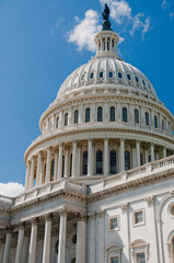 The United States Capitol Building in Washington, DC