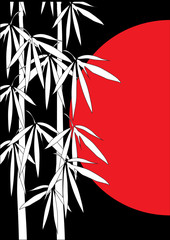 Plakaty  Ilustracja bambusa