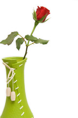 Fototapeta premium red rose isolated on white. space for text.