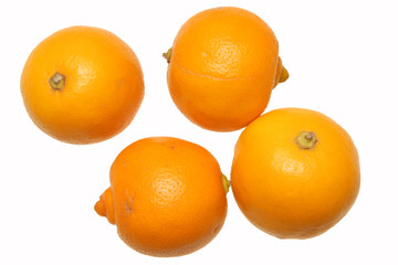 citrons bergamote