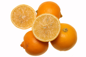 citrons bergamote