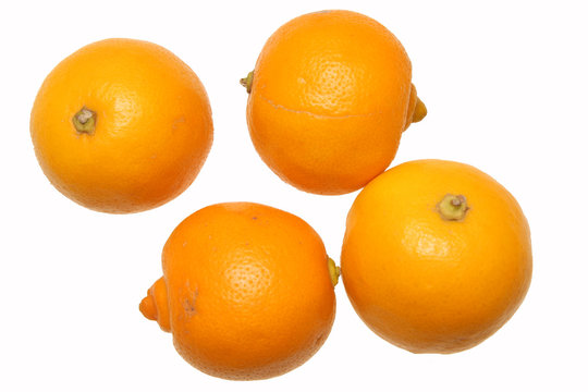citrons bergamote