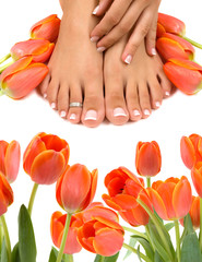 Feet and Tulips