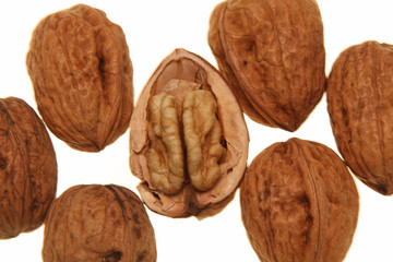 noix