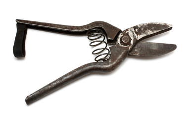 old gardening scissors