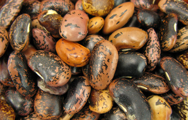 Beans brown and black for salad