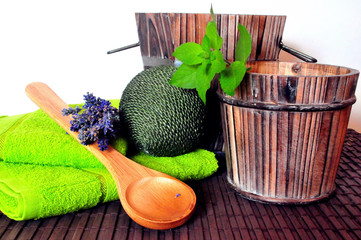 Wellness Sauna