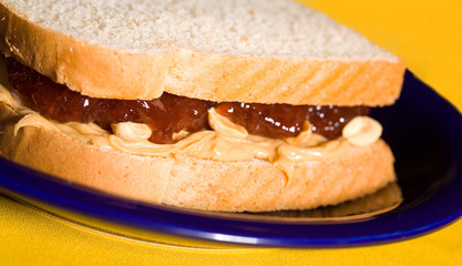 Peanut Butter and Jelly Sandwich