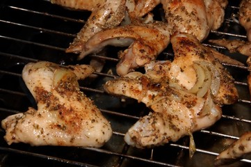 Hog chicken wings