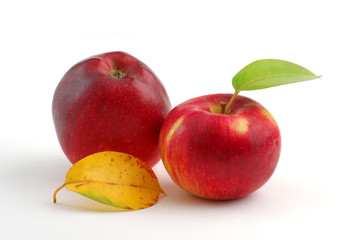 Apples