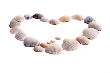 Heart out of seashells