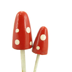 Wooden Fly Agaric Amanita muscaria mushroom