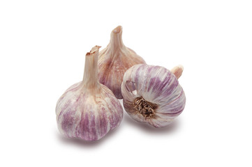 garlic isolated on the white background