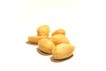 Erdnuss