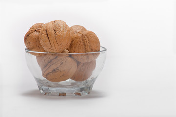 walnut