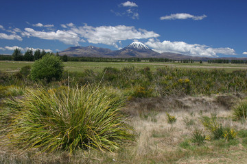 Volcan au dessus de la plaine