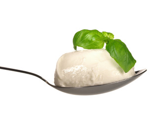 Mozzarella auf einem L&ouml;ffel