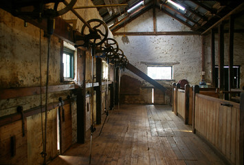 Old Shearing Shed