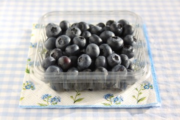 Heidelbeeren Blueberries