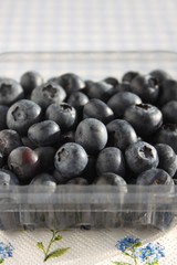 Heidelbeeren Blueberries