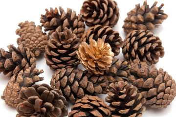 golden christmas lumb isolated on white