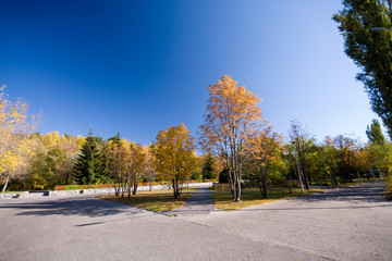 Autumn park