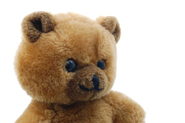 teddy bear isolated on white background