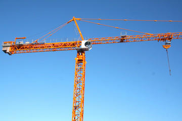 crane