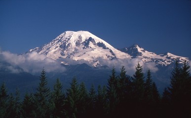 Fototapeta na wymiar Mount Rainier, USA