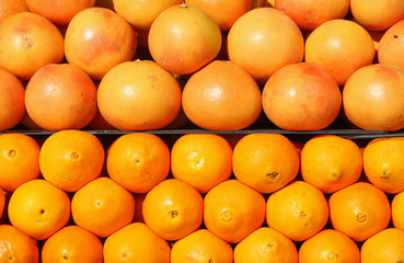 oranges and grapefruit