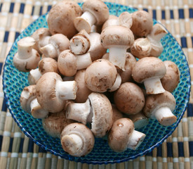 braune champignons