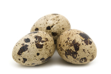 Obraz premium quail eggs on white background