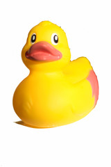Canard jouet