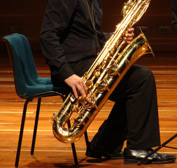 Naklejka premium Saxo