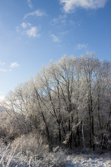 Obraz na płótnie Canvas Winter snow landscape