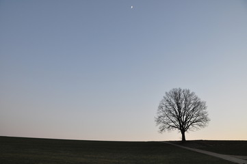 Winterlandschaft 3