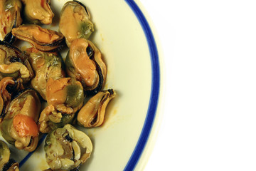 Mussels
