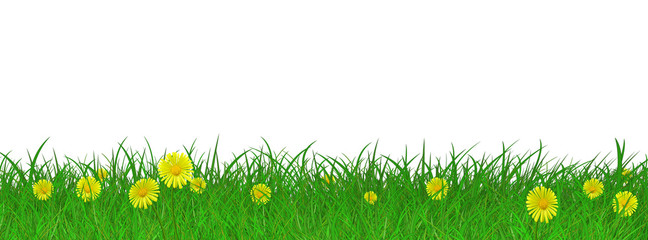 Blumenwiese