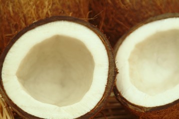 Kokosnuss ein Hauch von Karibik