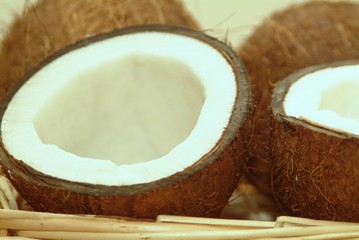 Kokosnuss ein Hauch von Karibik